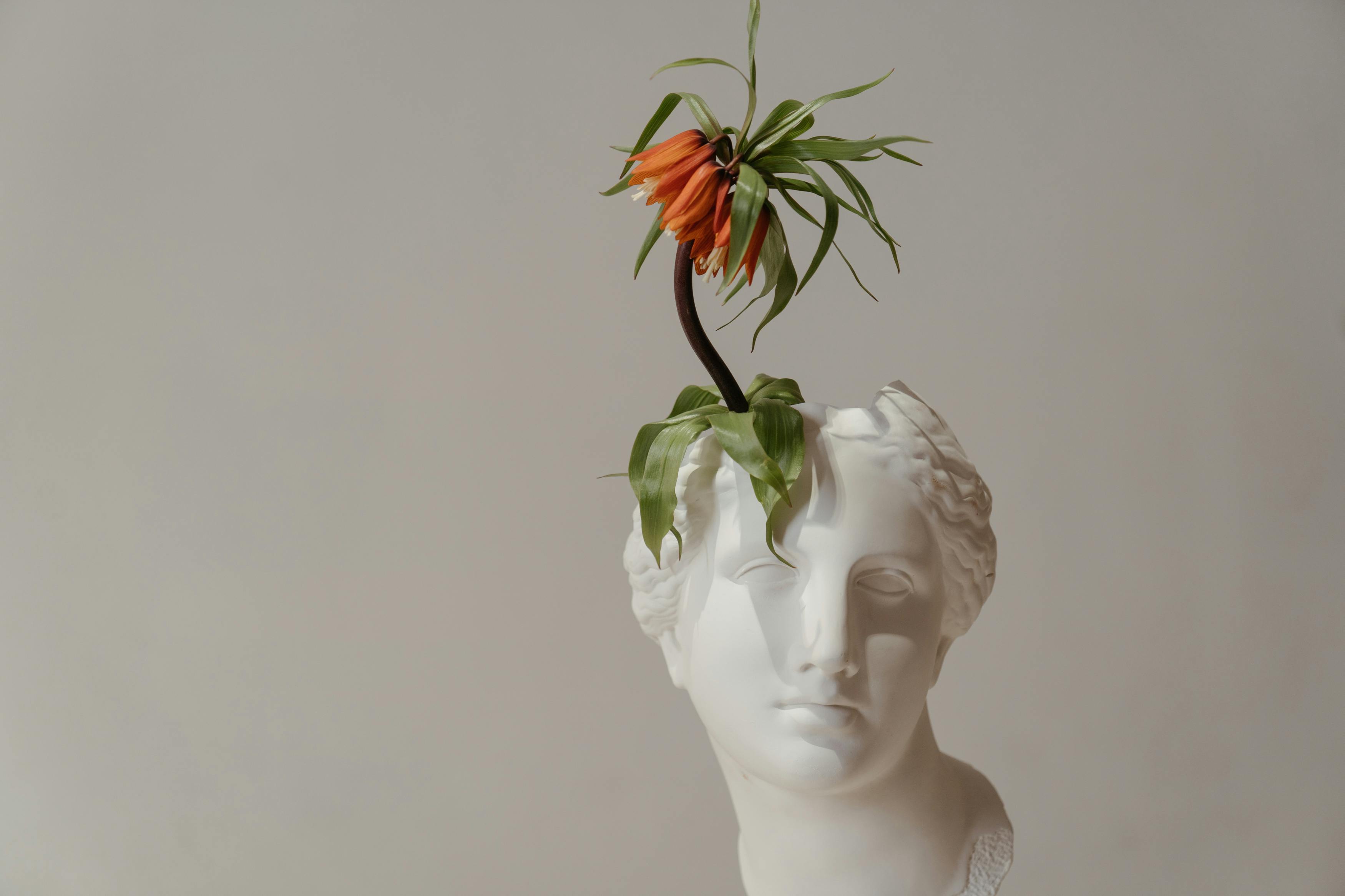 A sculpture of a greek looking man with flower out of his broken head.
